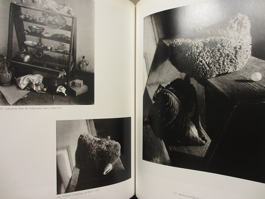 ヨゼフ・スデク写真集 プラハの光 Josef Sudek | ON THE BOOKS