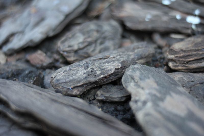 ISCO-GOTTINGEN（イスコ・ゲッチンゲン）WESTRON（ウエストロン）35mm