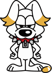 LIVE TOUR 2025 「LUMINA」オフィシャルグッズ＆生写真セット【福岡