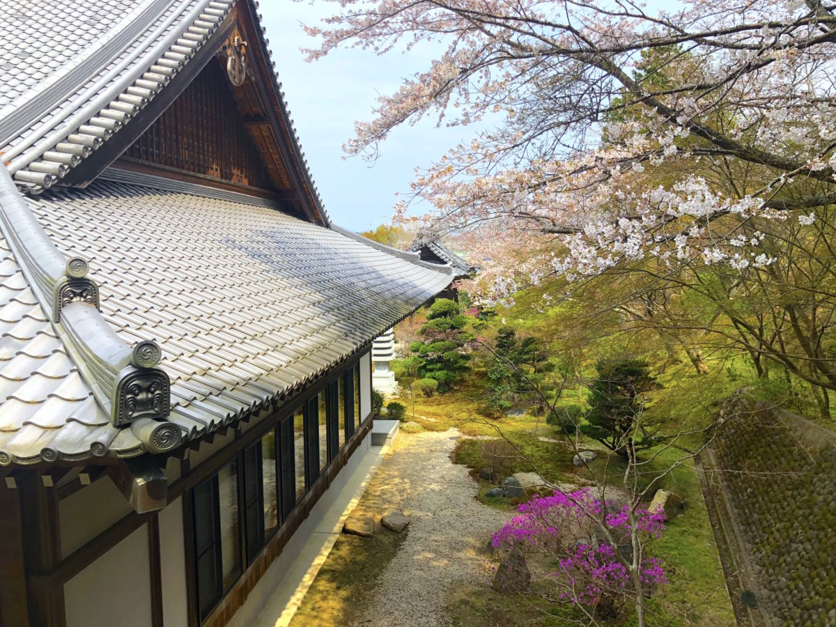 積雲院庭園 ― 源朝長ゆかり…静岡県袋井市の庭園。 | 庭園情報メディア