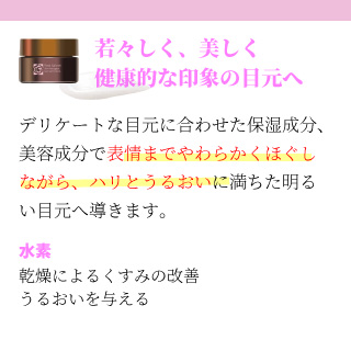 EBM ONLINE STUDIO / ローズガルヴァーニ スキンナビゲーター アイケア