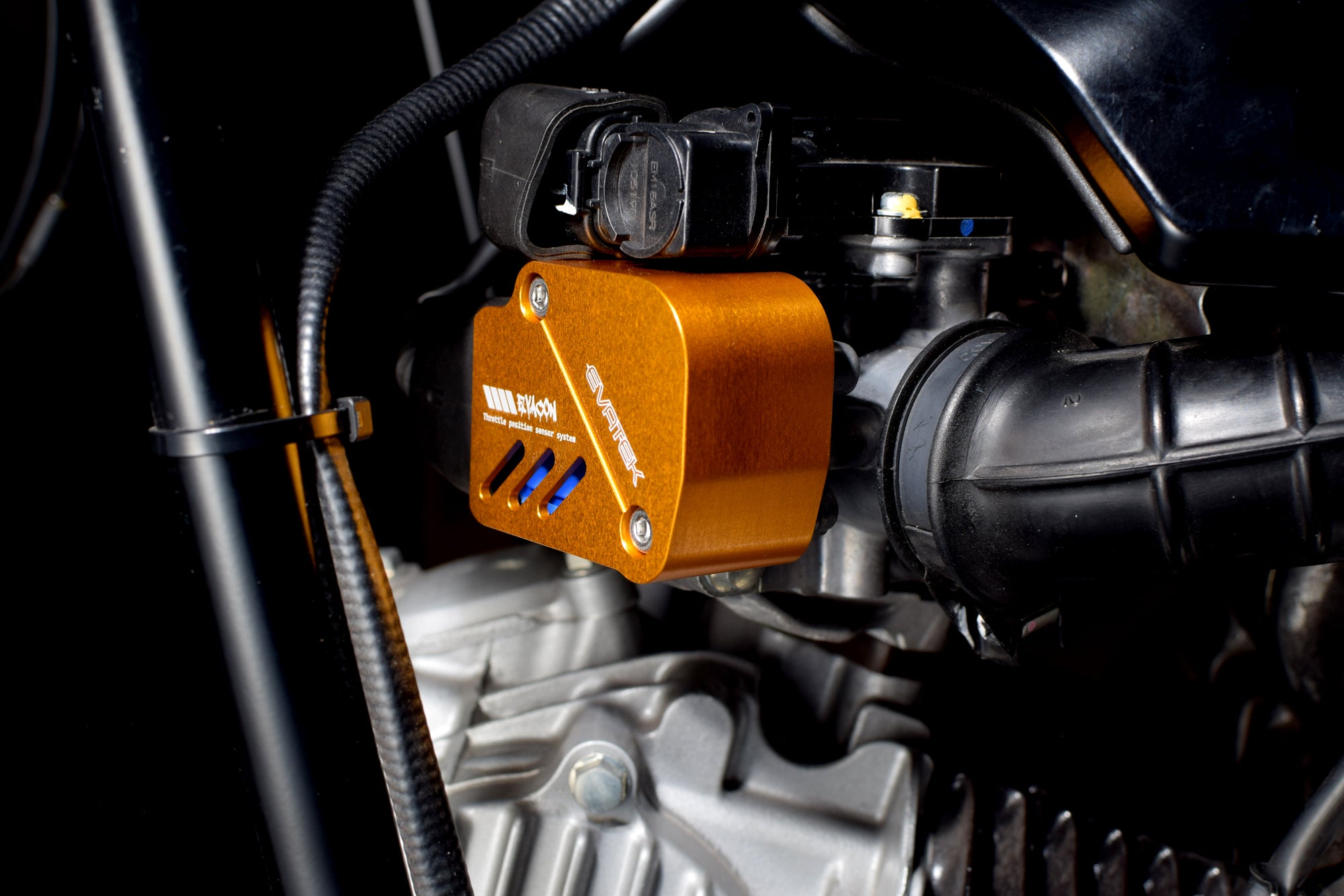 DSC_0475.jpg?v=1750379436&