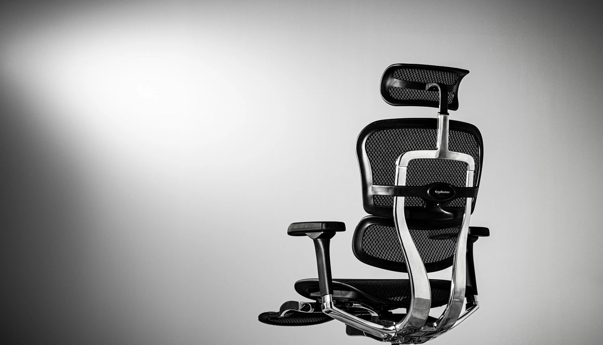 Ergohuman Pro2 Ottoman（エルゴヒューマン プロ2 オットマン