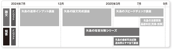 矢島の予備試験パック（2025年合格目標） -予備試験-LEC オンライン
