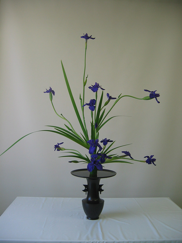 立花 | いけばな池坊-大嶋晴代教室