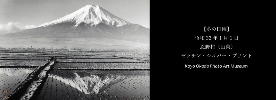 四季の杜おしの公園 岡田紅陽写真美術館・小池邦夫絵手紙美術館