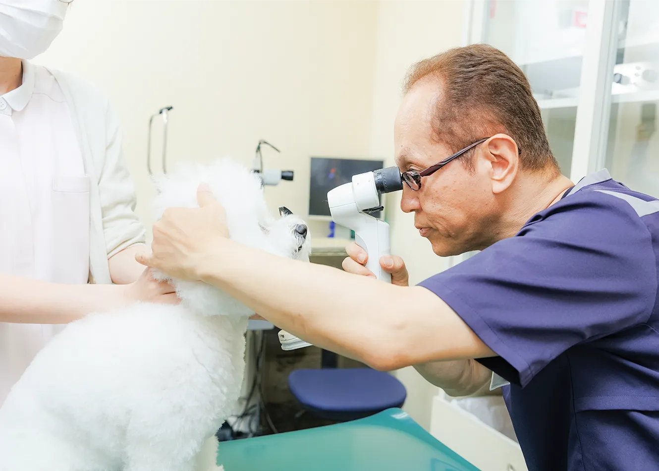 ナディア動物クリニック・動物眼科｜岡山県倉敷市玉島の動物病院