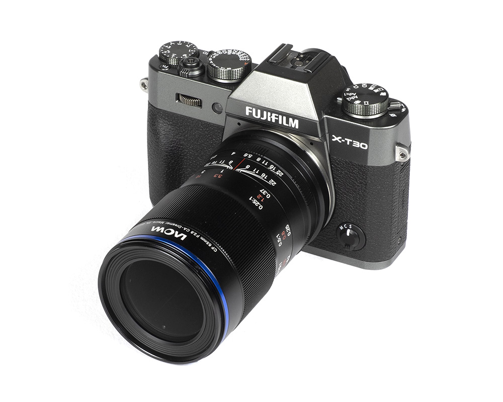 Laowa 65mm f/2.8 2x Ultra Macro APO Review - OpticalLimits