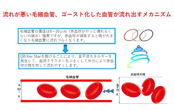 神経系伝達量子波ネックレス QB Ker （キュービー ケルスター