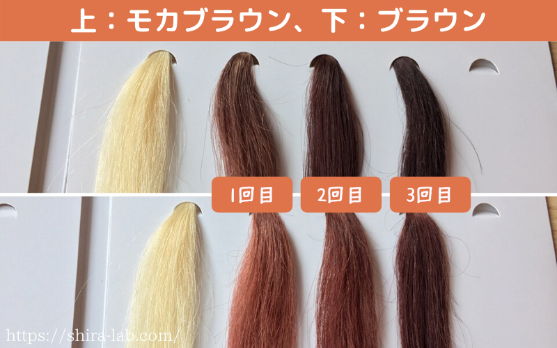 ルプルプモカブラウンの口コミ評判からどんな色か解説！ | シララボ