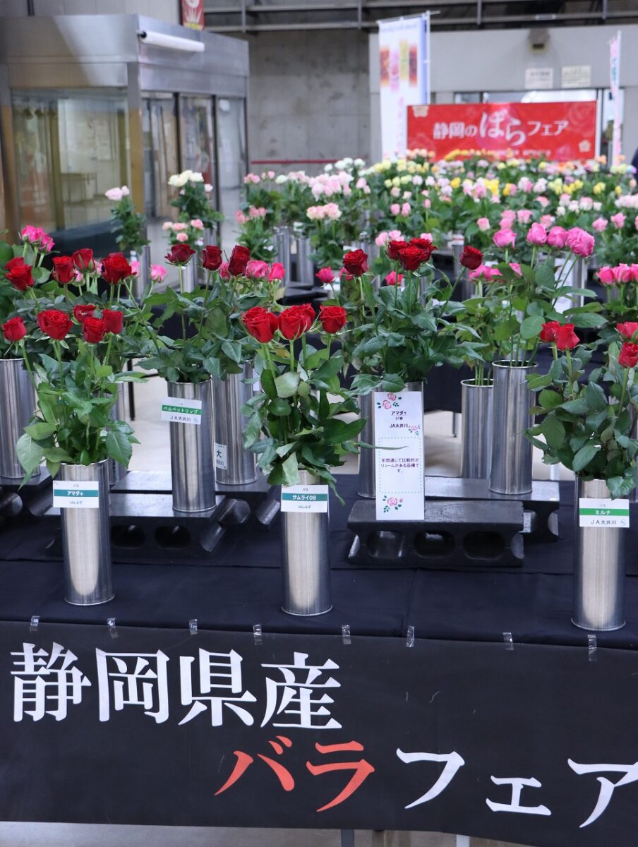 静岡県産バラフェア 2025 - 株式会社大田花き