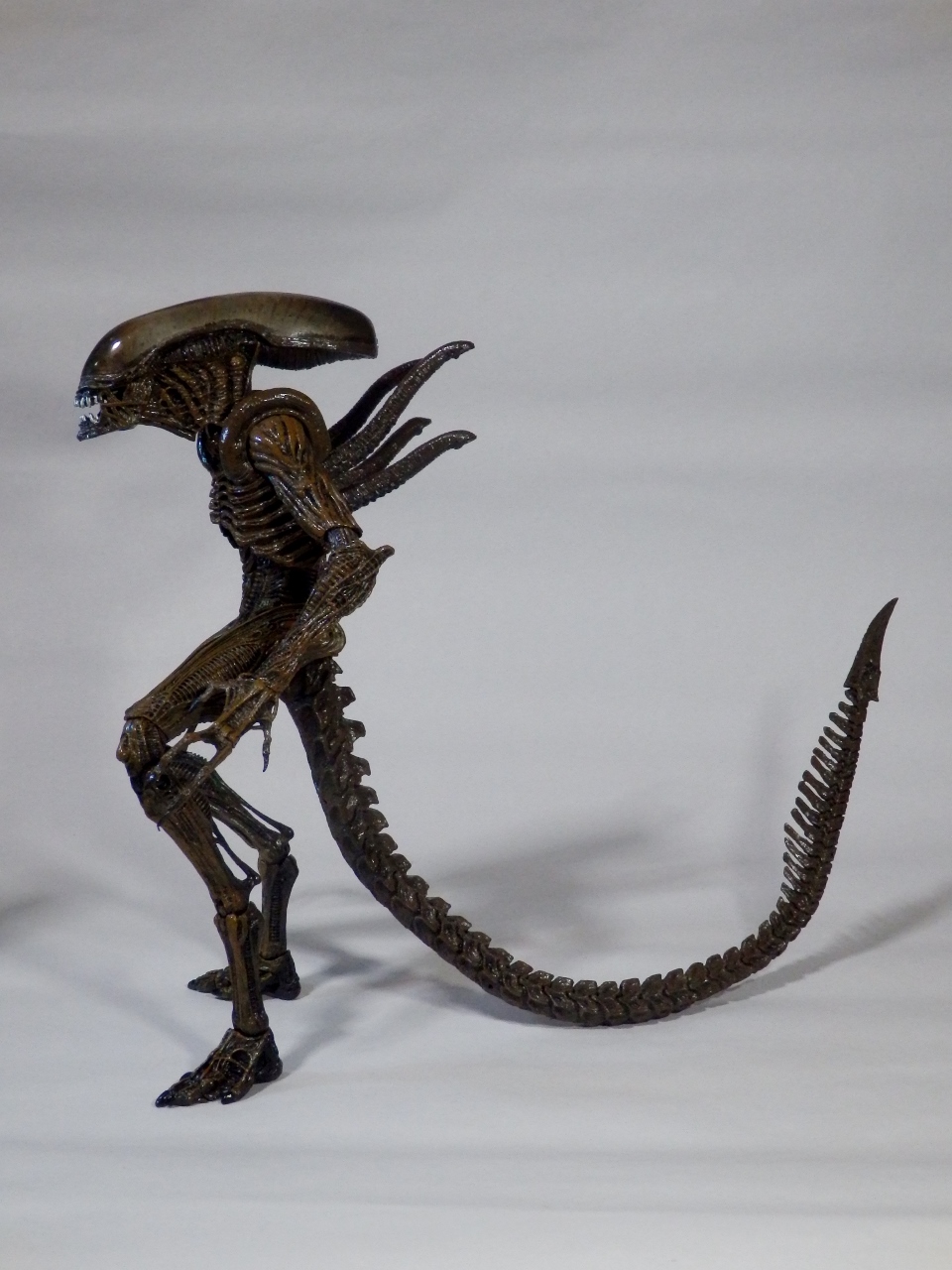 レビュー:NECA(ネカ) リザレクション エイリアン ウォーリアー