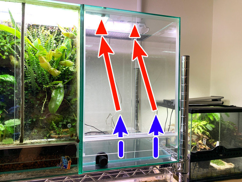 ヤドクガエル・パルダリウムケージ「PCP3045」レビュー – おたま商会