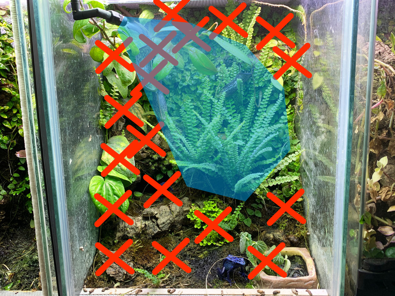 自動散水機「モンスーンソロ」、実使用レビュー – おたま商会