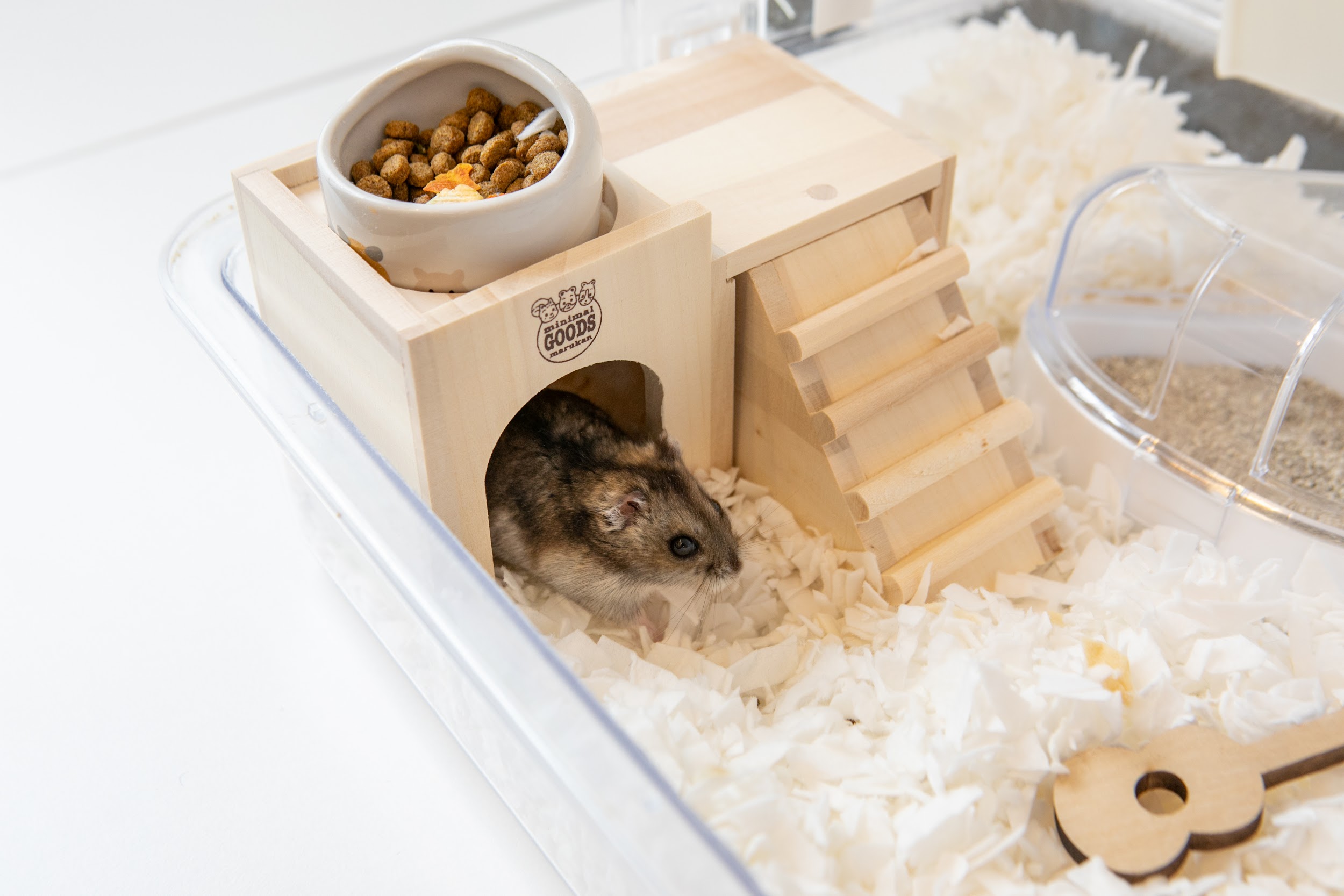 ハムスターの飼育に必要なもの一覧！便利グッズをまとめて紹介