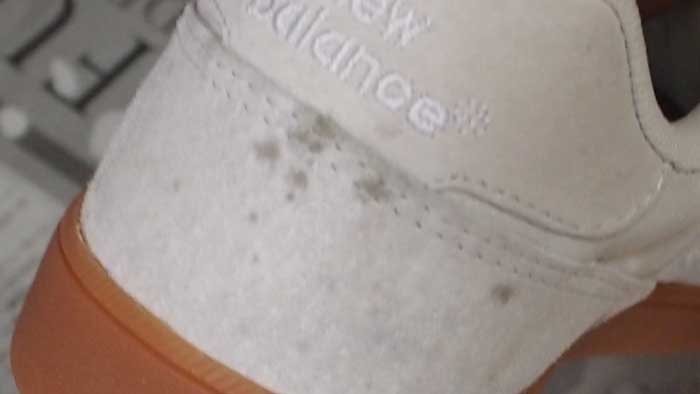 スエードの靴にカビが生えてしまったので、対処してみた - 靴屋Parede