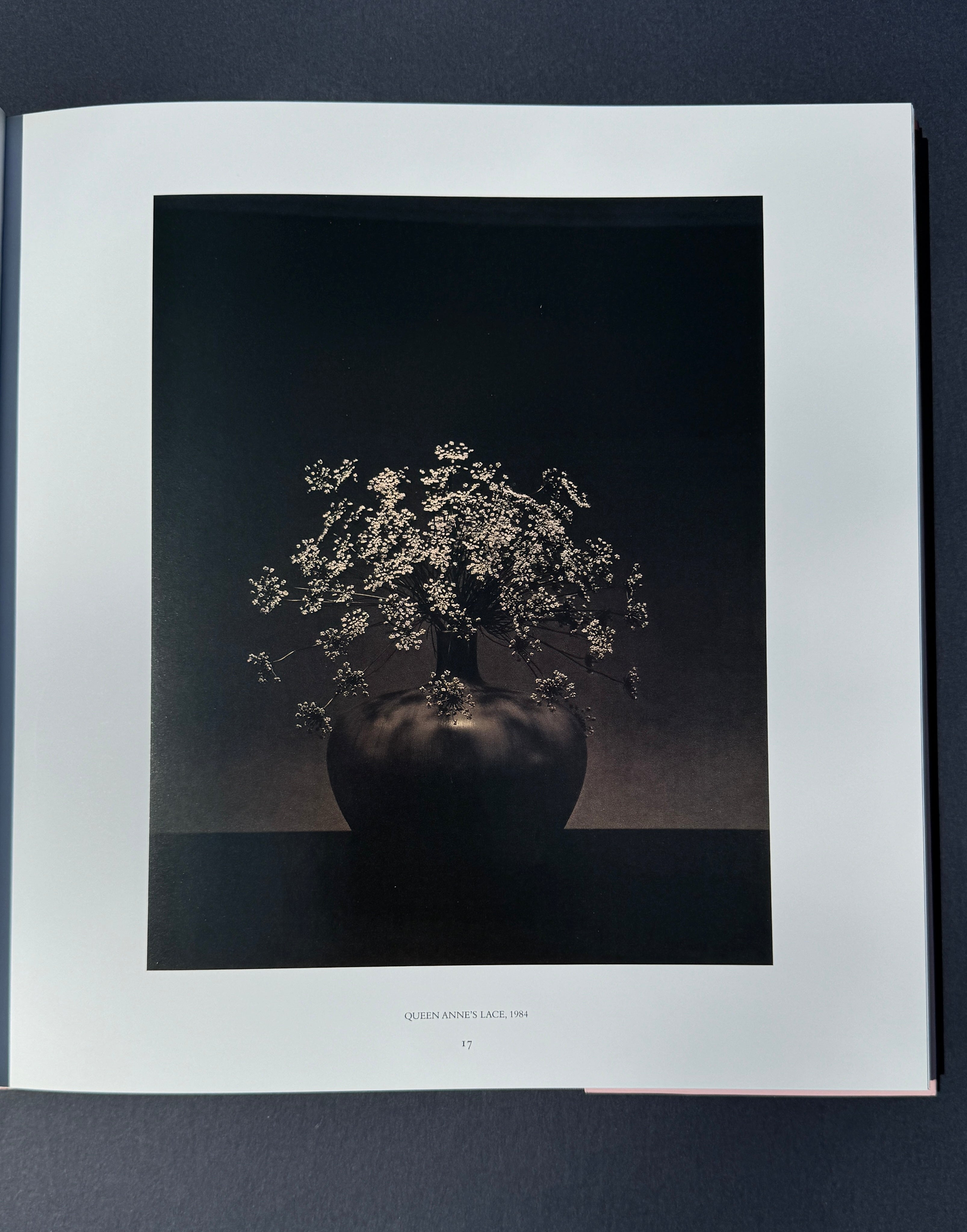 Robert Mapplethorpe - Pistils – Parallel Editions