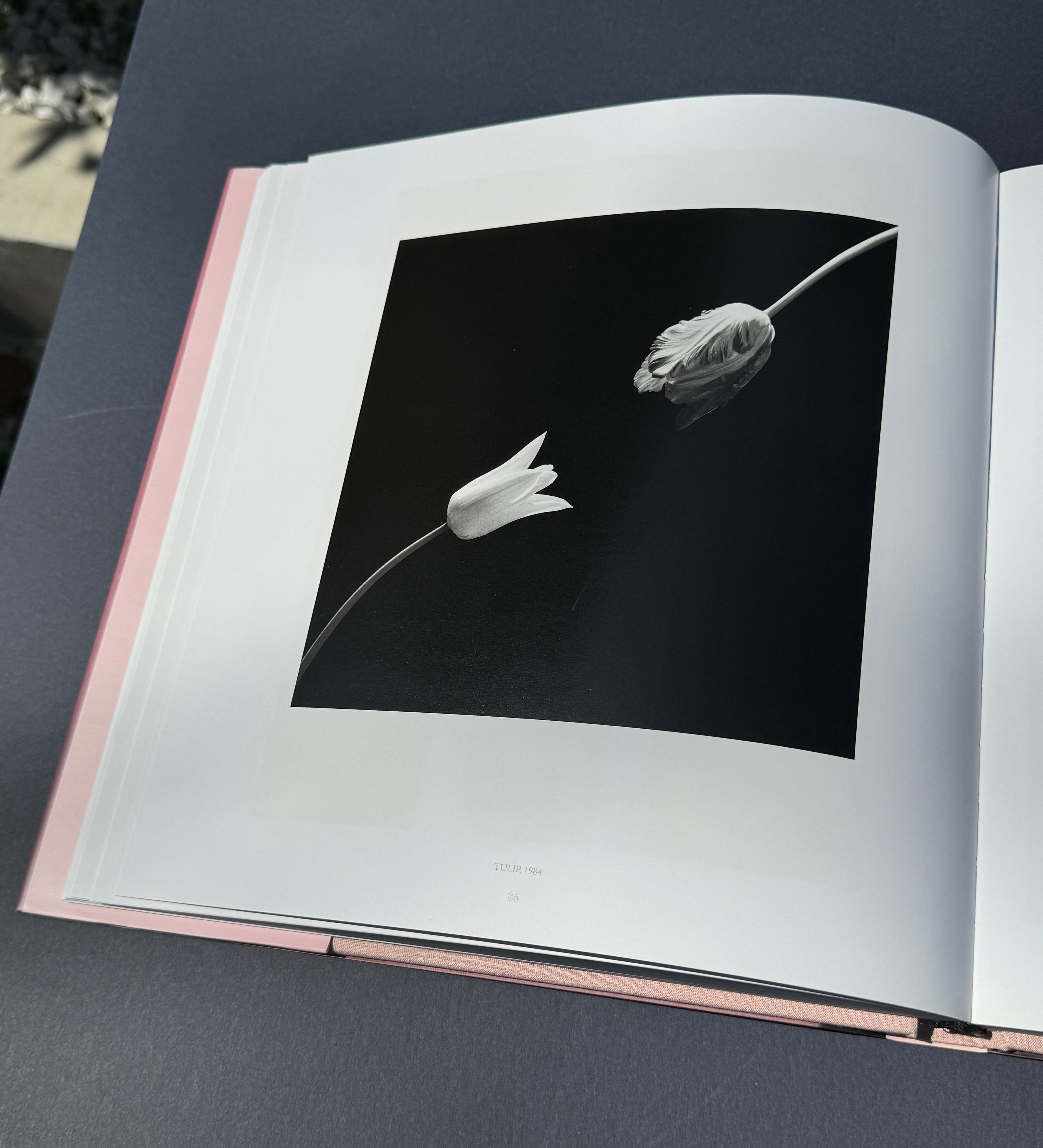 Robert Mapplethorpe - Pistils – Parallel Editions