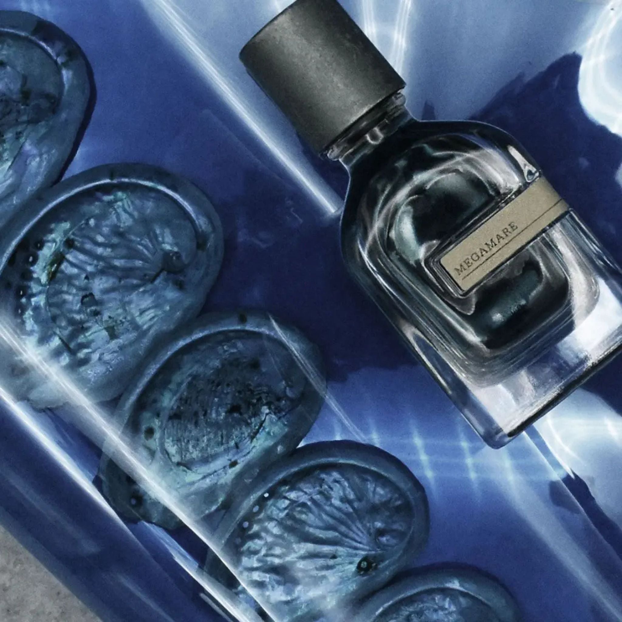 Orto Parisi Megamare: Dive into Oceanic Elegance · Parfum Exquis US