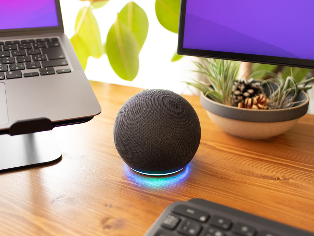 Amazon Echo Dot (エコードット) 第4世代 実機レビュー【第3世代と比較