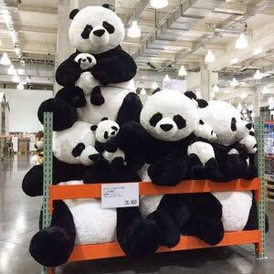 コストコに超巨大パンダのぬいぐるみがあるらしくて調べたらメッチャ