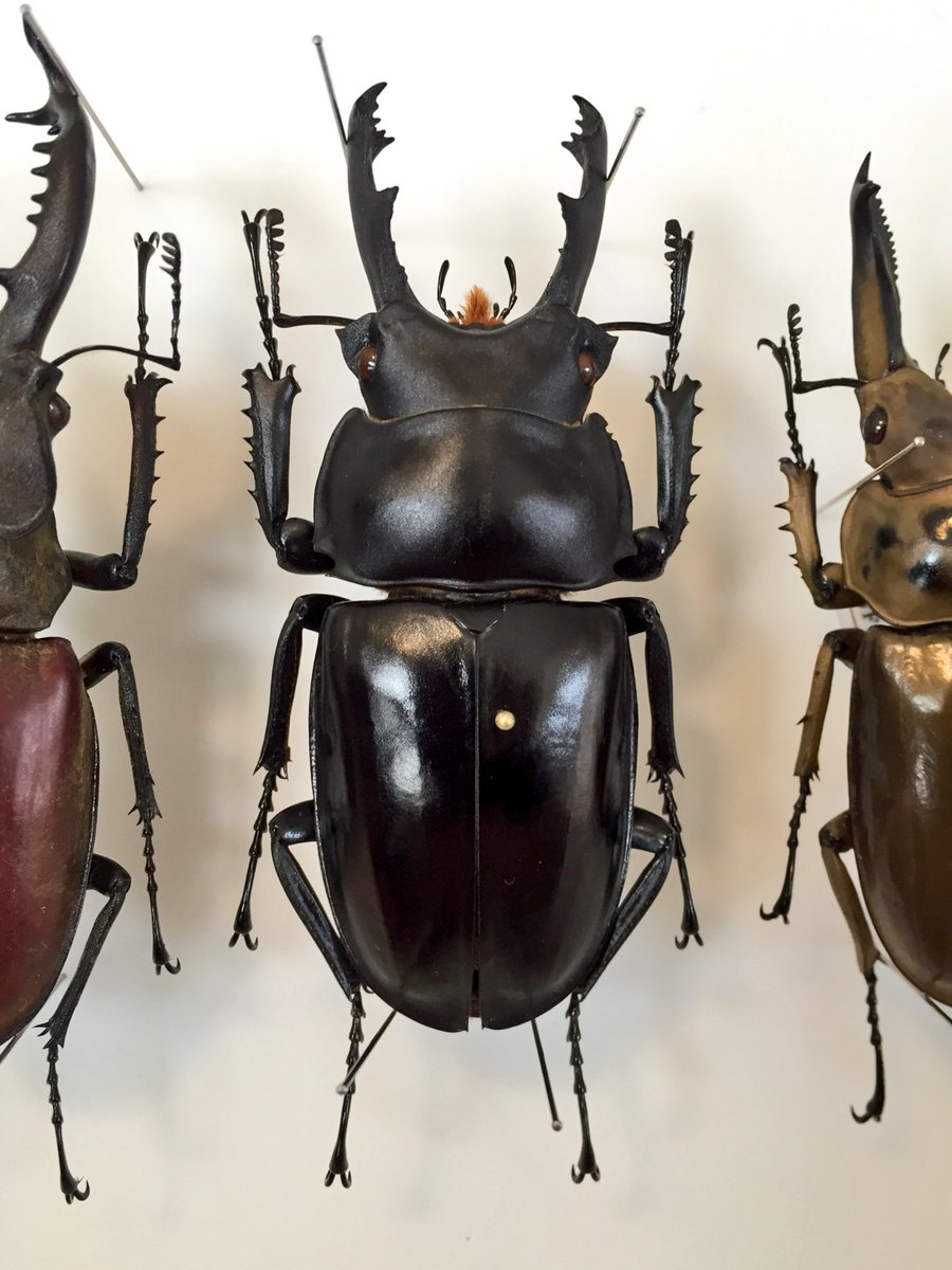 Cb4Y0_aUkAAPTk0.jpg?format=jpg