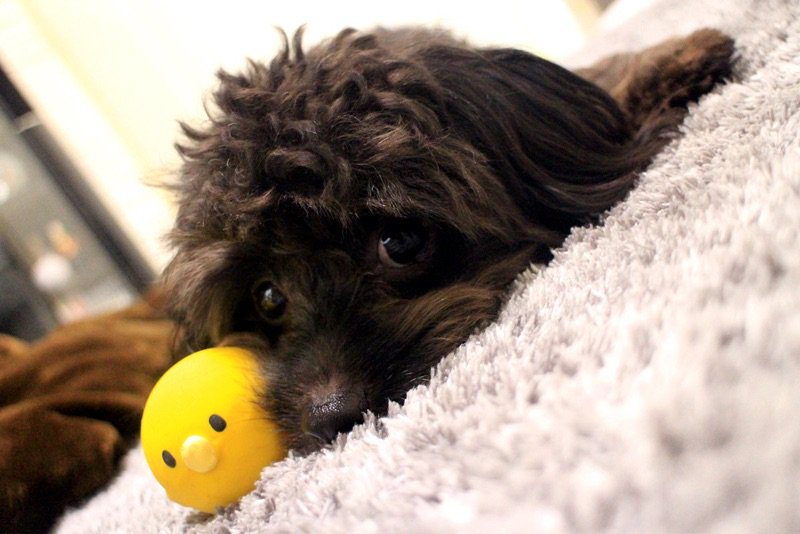 さっちゃん (@sa_chan40) / Posts / X