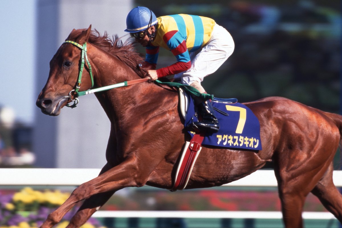 今日4月13日は、01年の #皐月賞 を無傷の4連勝で制した「超光速の粒子