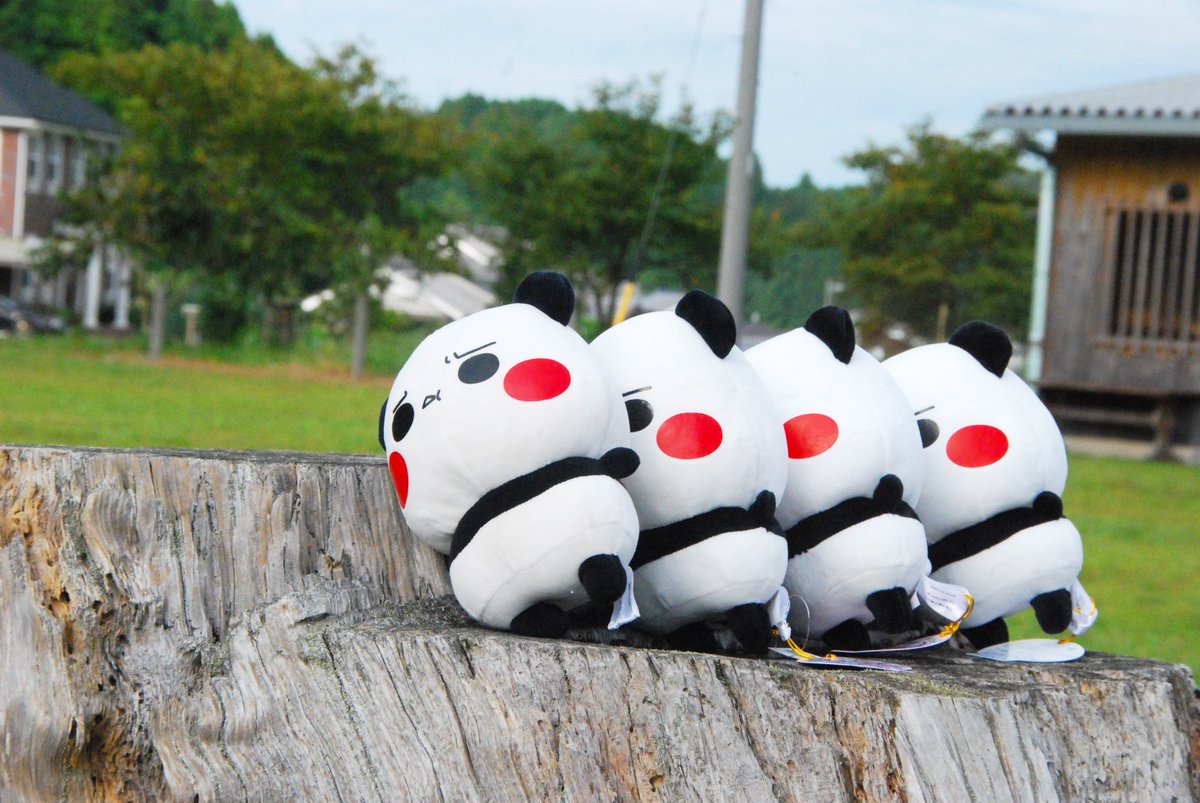 パンダさん工房 (@panda3kb) / Posts / X