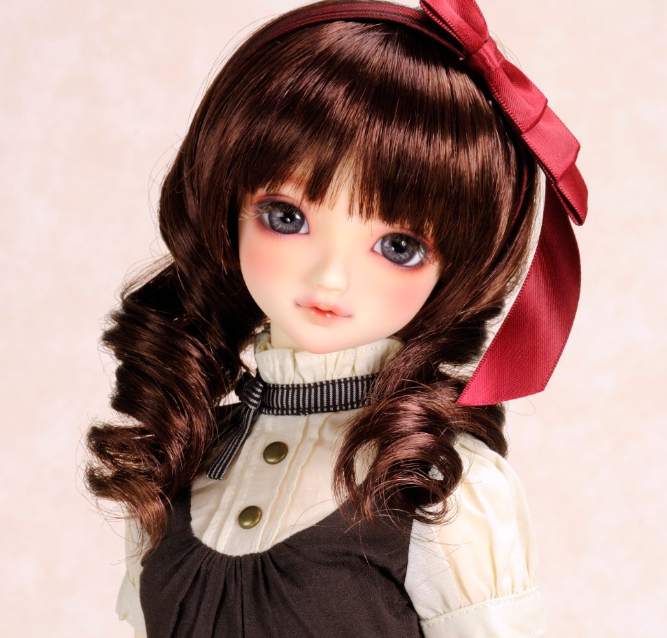 ドルフィーヘッド番号クイズ 】 ＼正解発表／ 答えは「SD-F-60（ここ