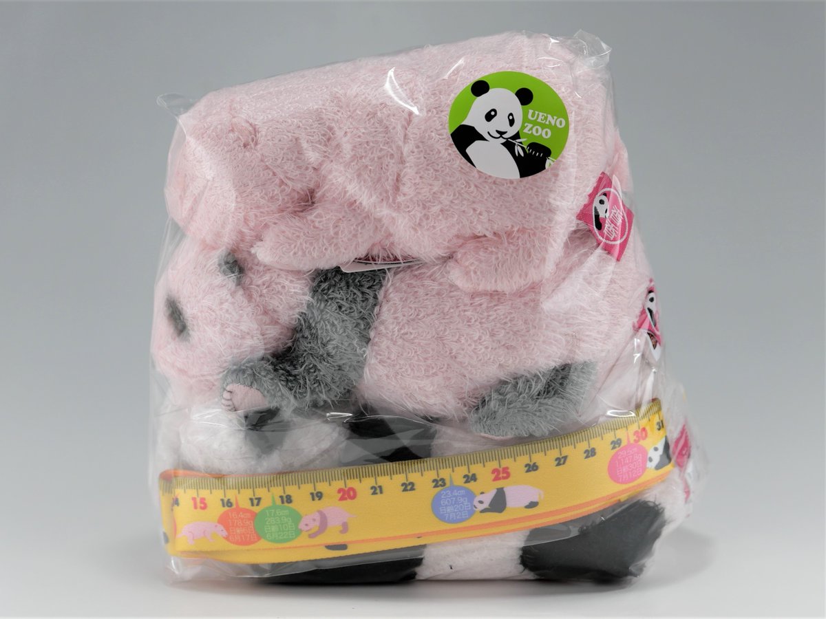 ほんとの大きさぬいぐるみをご存じでしょうか？ シャンシャンと同じ重