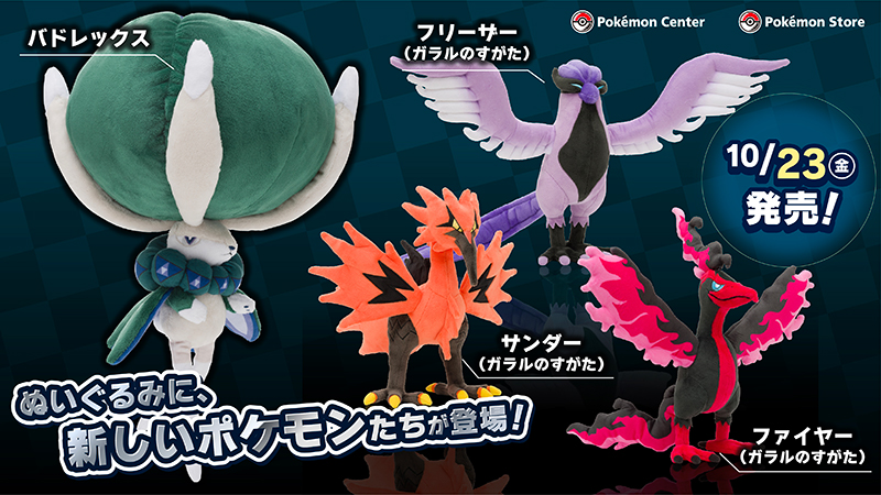 ポケモン ソード・シールド エキスパンションパス』第2弾「冠の雪原