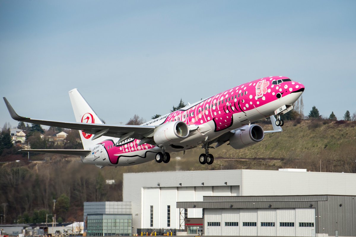 ✨歴代機材紹介✨ ◇：ボーイング737－800 保有機体数：13機 座席数