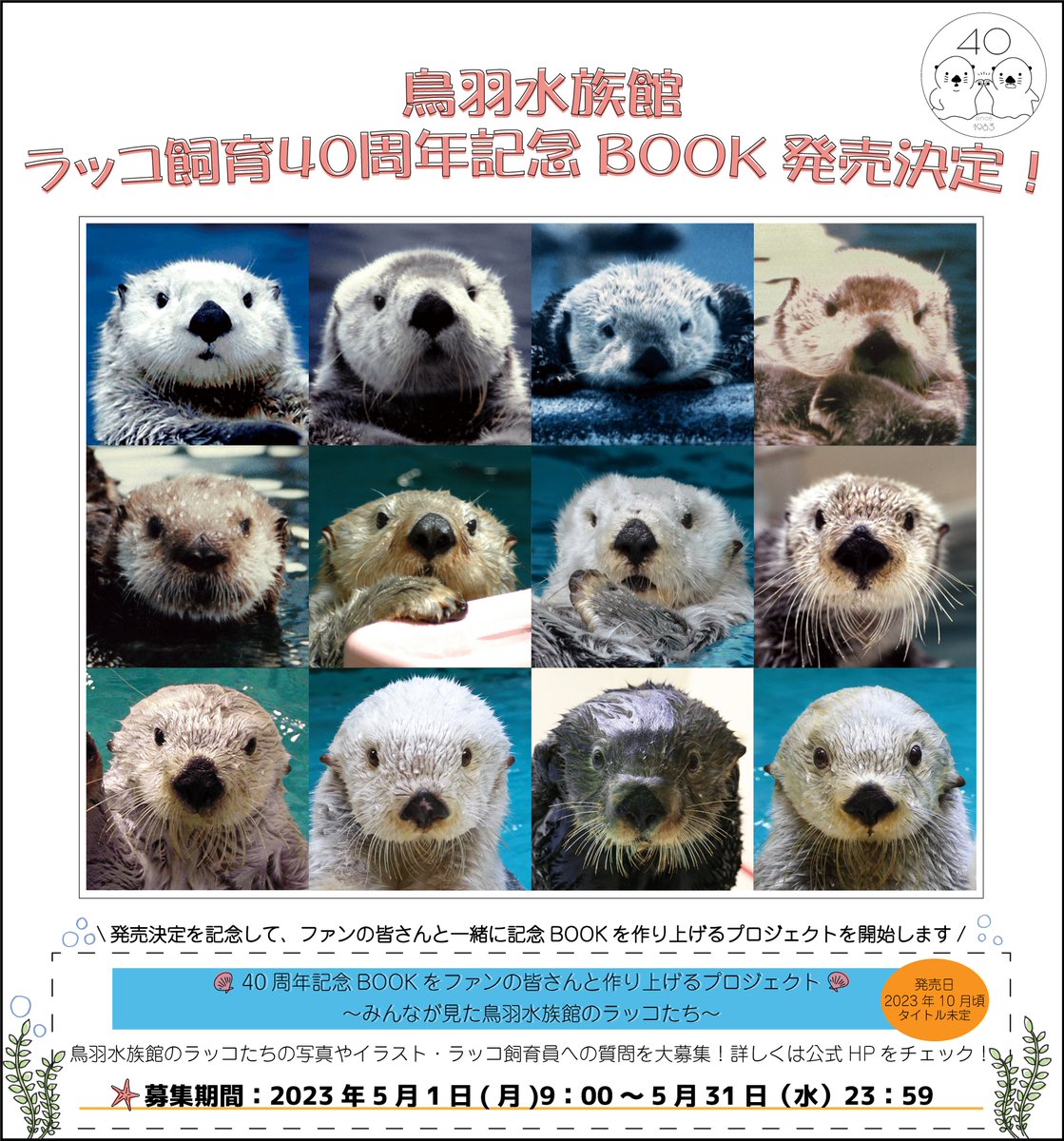 お知らせ】鳥羽水族館では、今年の10月でラッコを飼育して40周年