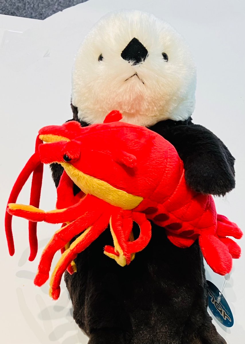 💐オリジナルラッコぬいぐるみ💐 元気に販売中です！ #マリンピア日本