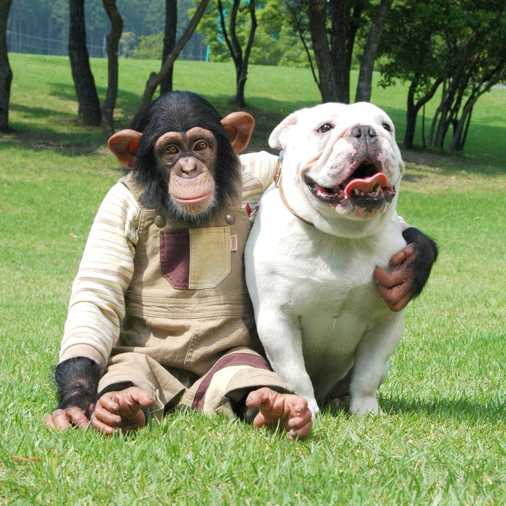 パンくん20歳を記念して📷蔵出し画像を大公開✨ 3歳 デビューの頃 5歳