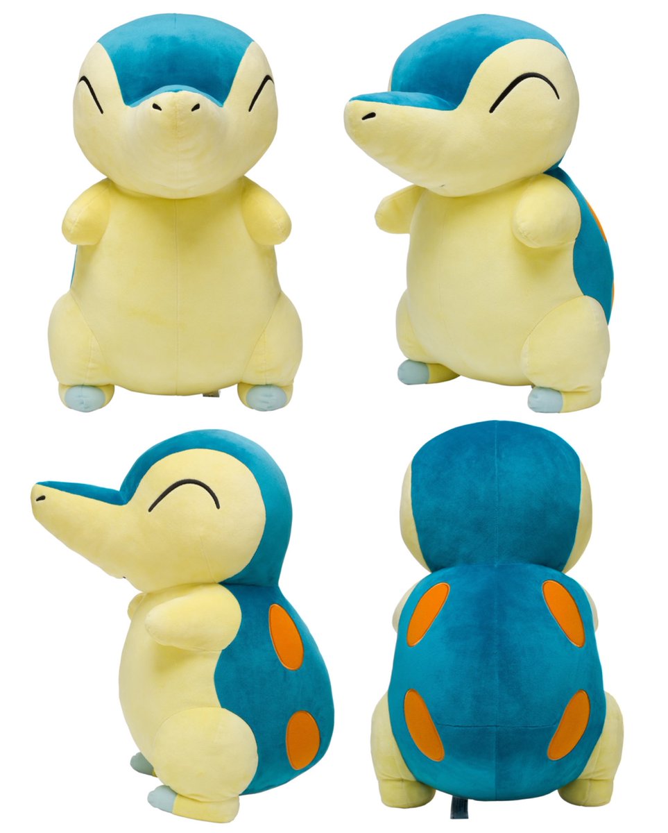 心臓バクバクバクフーン！！！！！！！！ 等身大…50cmひのちゃんが遂に