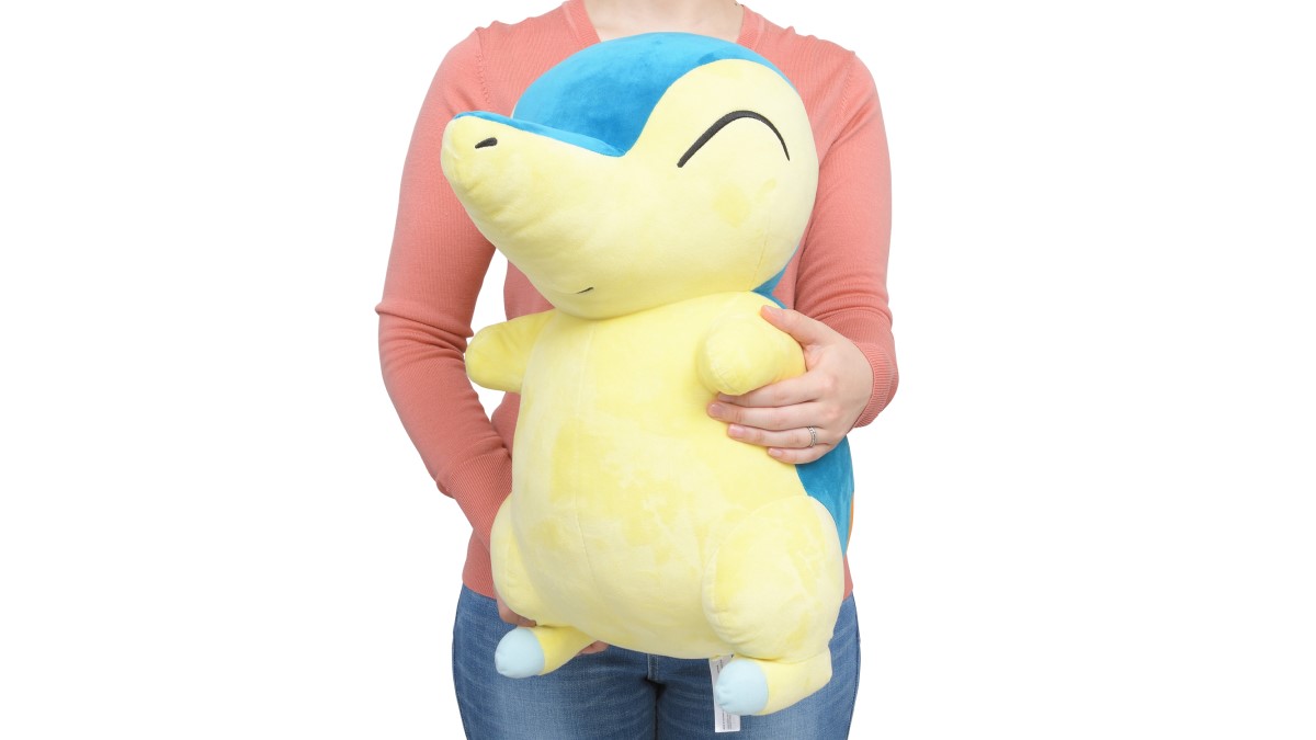 Pokémon LEGENDS アルセウス』でも活躍する、ヒノアラシとミジュマルが