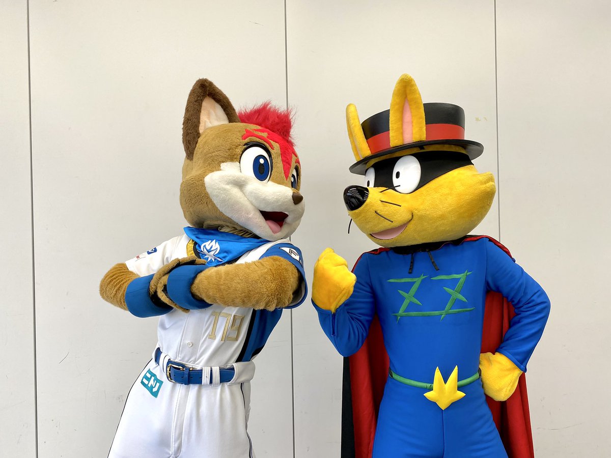 このあと札幌ドームで #きつねダンス バトルが開幕⁉︎ プレップと