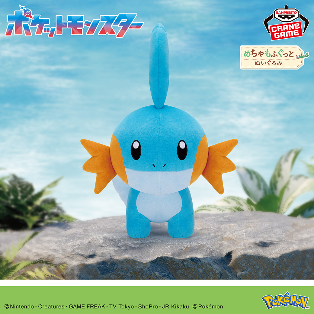 ミズゴロウ のぬいぐるみ💙／ ミズゴロウが、めちゃもふぐっと