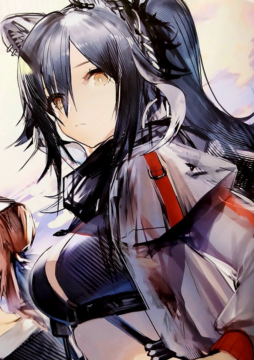 大陸限定同人グッズ 「Liduke先生」 イラスト集(Liduke's Art work#01