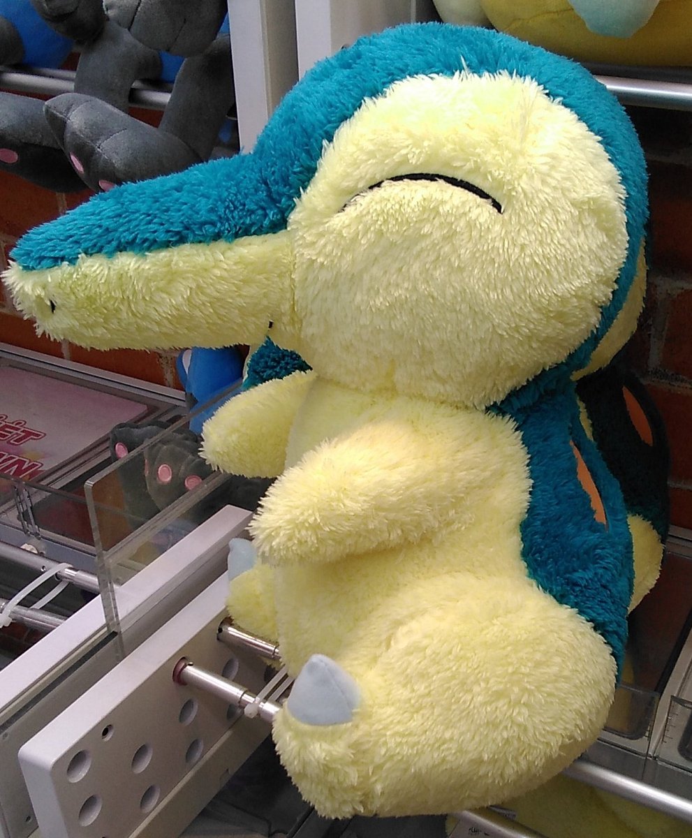 ポケットモンスターのヒノアラシの大きなぬいぐるみが入荷しました