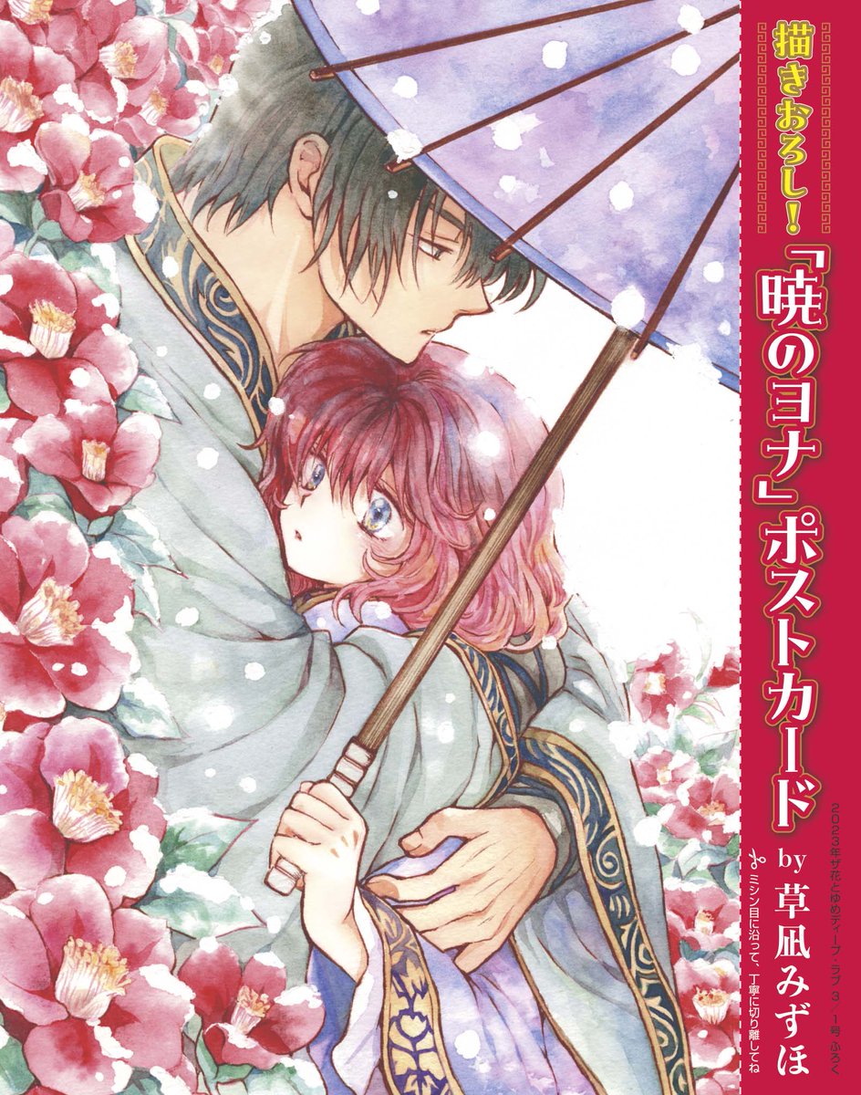 発売中のザ花ディープ・ラブの付録はハクヨナポストカードです 手に