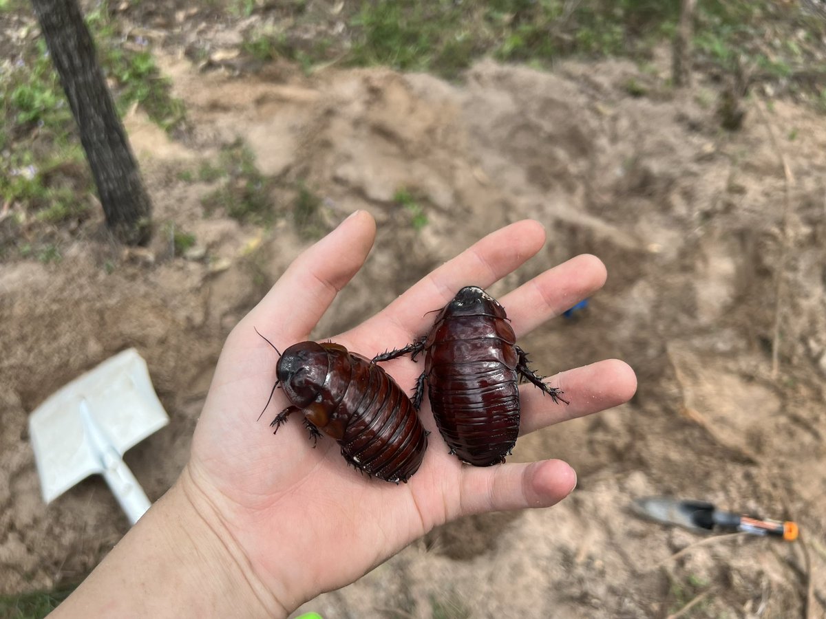 Fs3fHAQaAAAj2lj.jpg?format=jpg