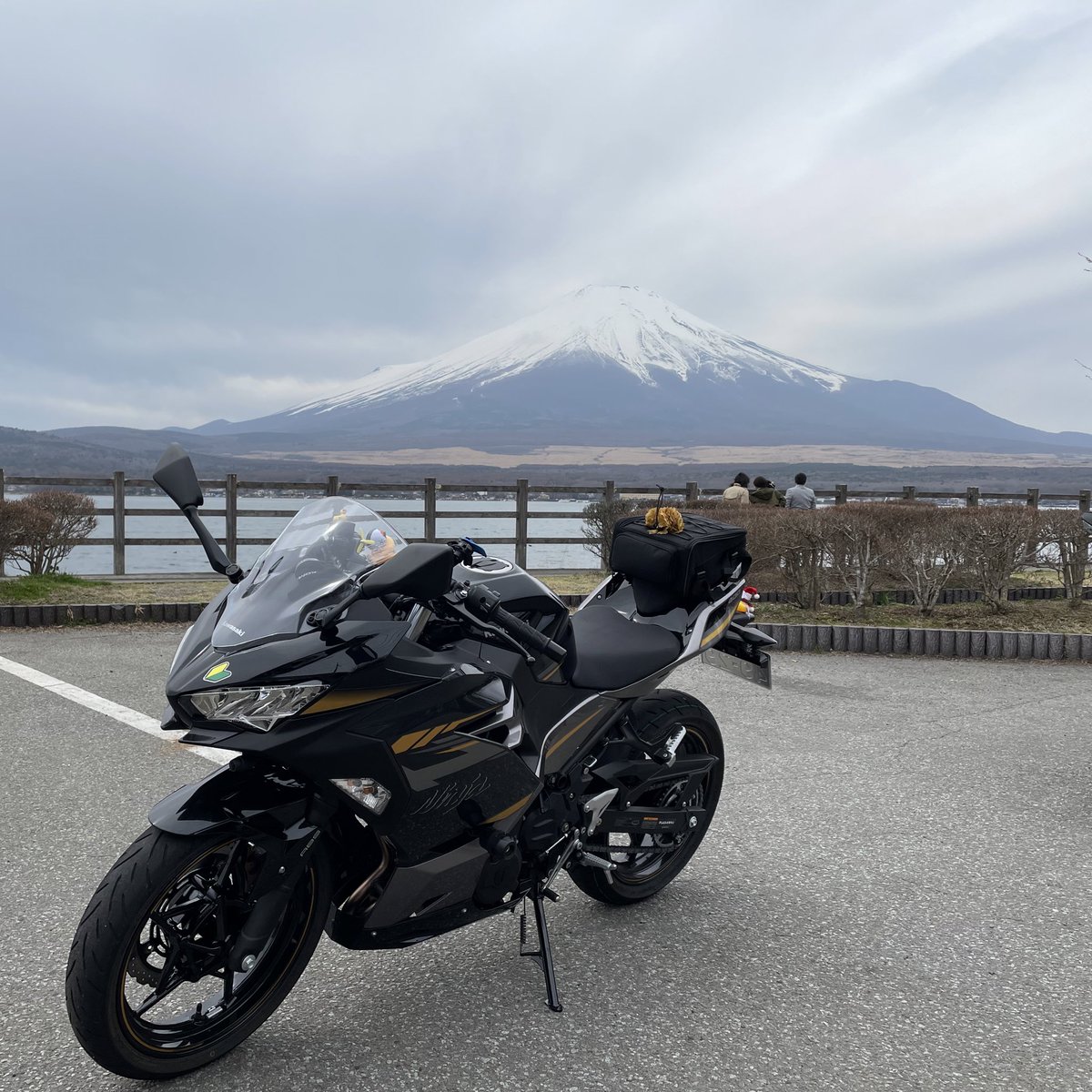 ✿YUYU✿（19） (@yuyucha_ninja) / Posts / X