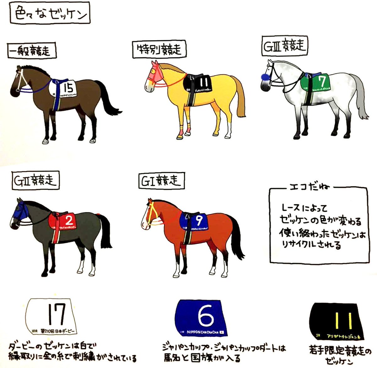 レースによってゼッケンが違うよ。 一般競走は白、GIIIは緑、GIIは赤