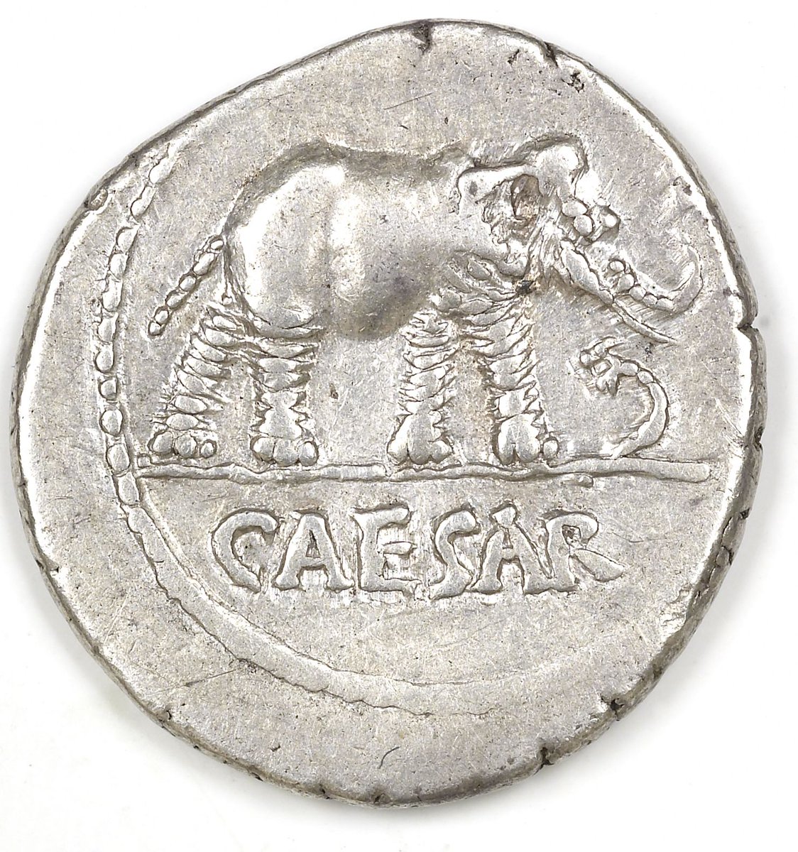 ユリウス・カエサルのコイン。象だ！ 紀元前49-48年頃、古代ローマ