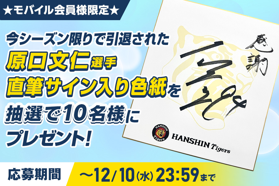 オンゲキ 直筆サイン色紙 井之原小星 もものはるな クッション 当選