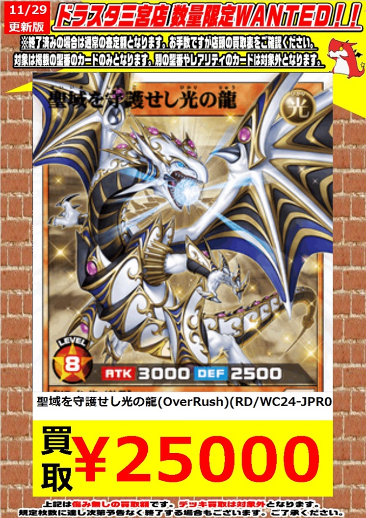 聖域を守護せし光の龍ORR 未開封)聖域を守護せし光の龍