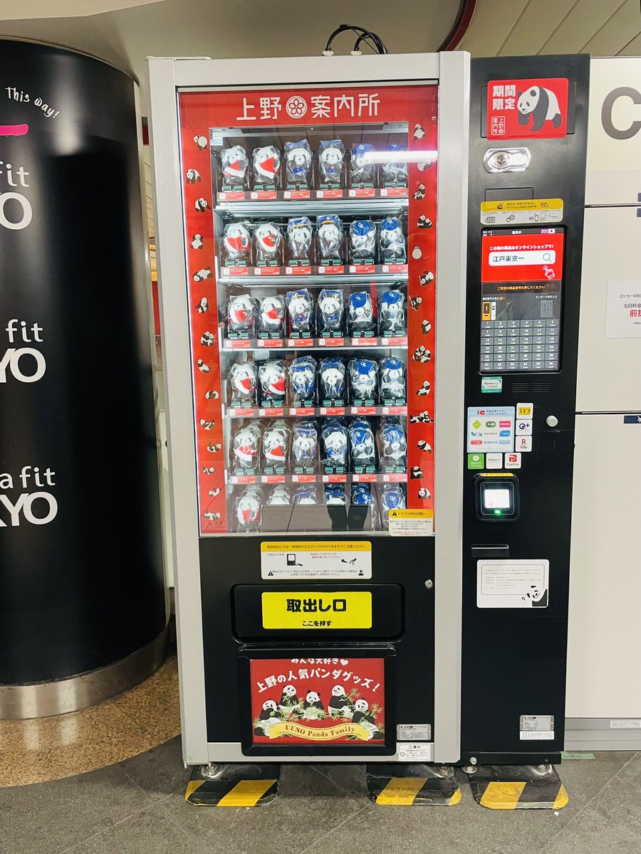 ⋱ 🐼本日からスタート❗️🐼 ⋰ 2025年12月1日(月)13時から2026年1月